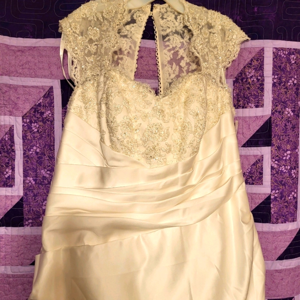 David's Bridal plus size wedding dress